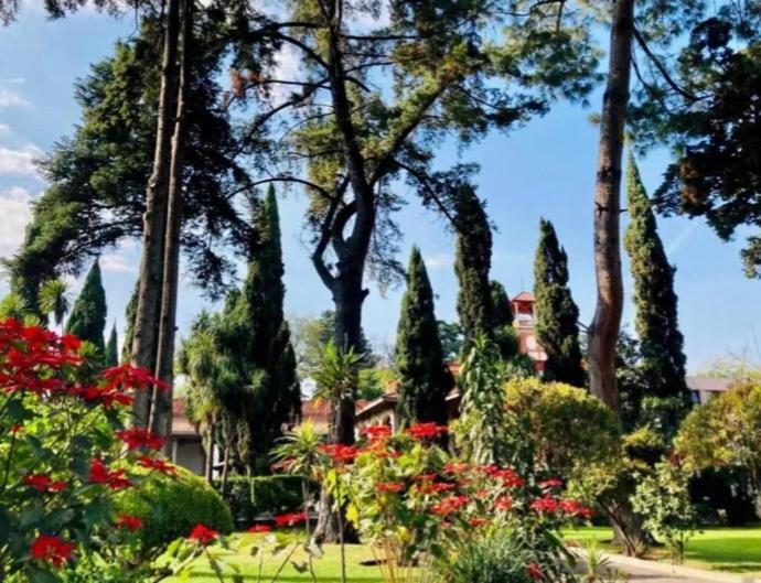 Utopia Hotel Boutique Kota Meksiko Bagian luar foto