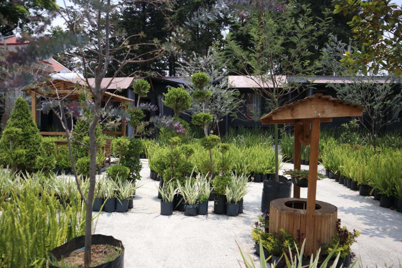 Utopia Hotel Boutique Kota Meksiko Bagian luar foto