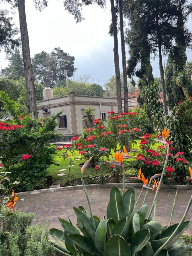 Utopia Hotel Boutique Kota Meksiko Bagian luar foto