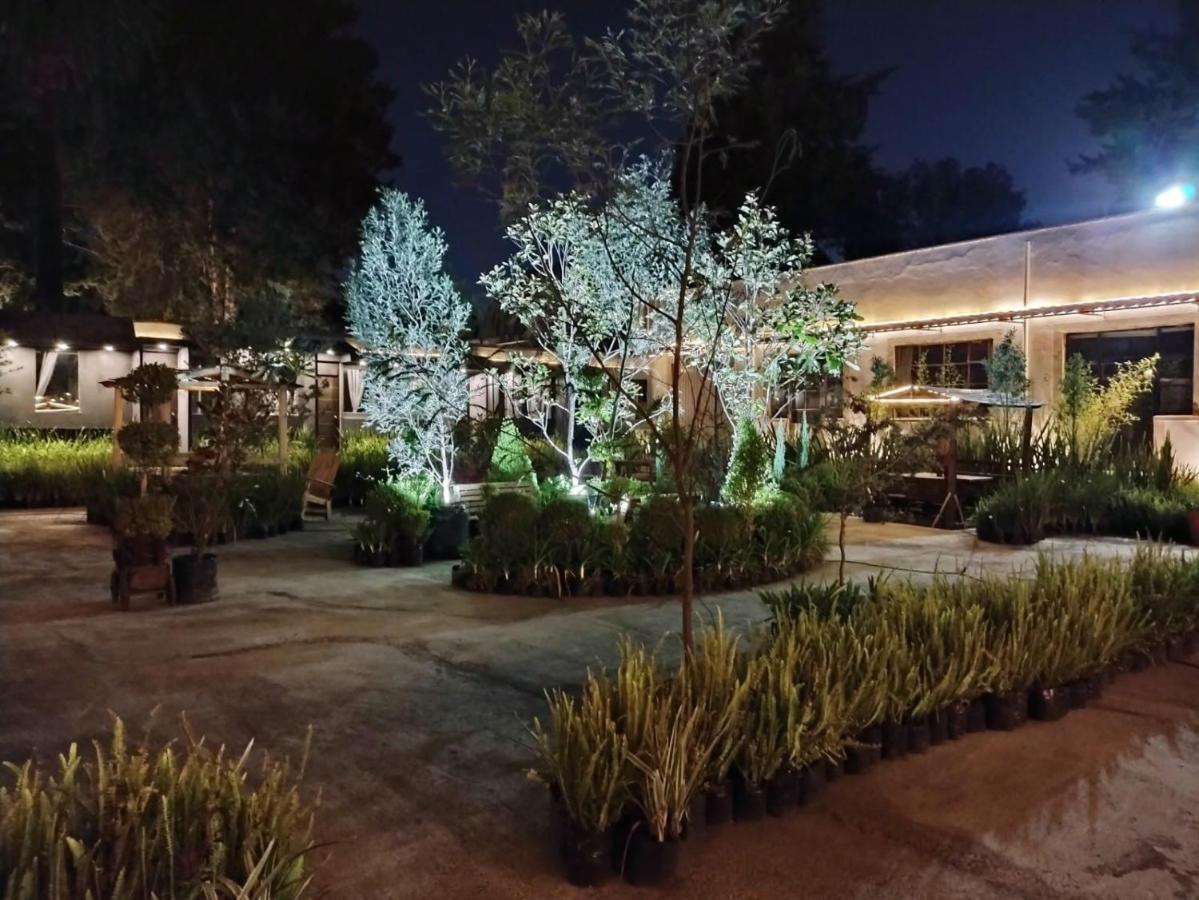 Utopia Hotel Boutique Kota Meksiko Bagian luar foto